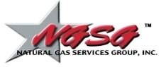 NGS Logo