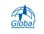 Global large logo
