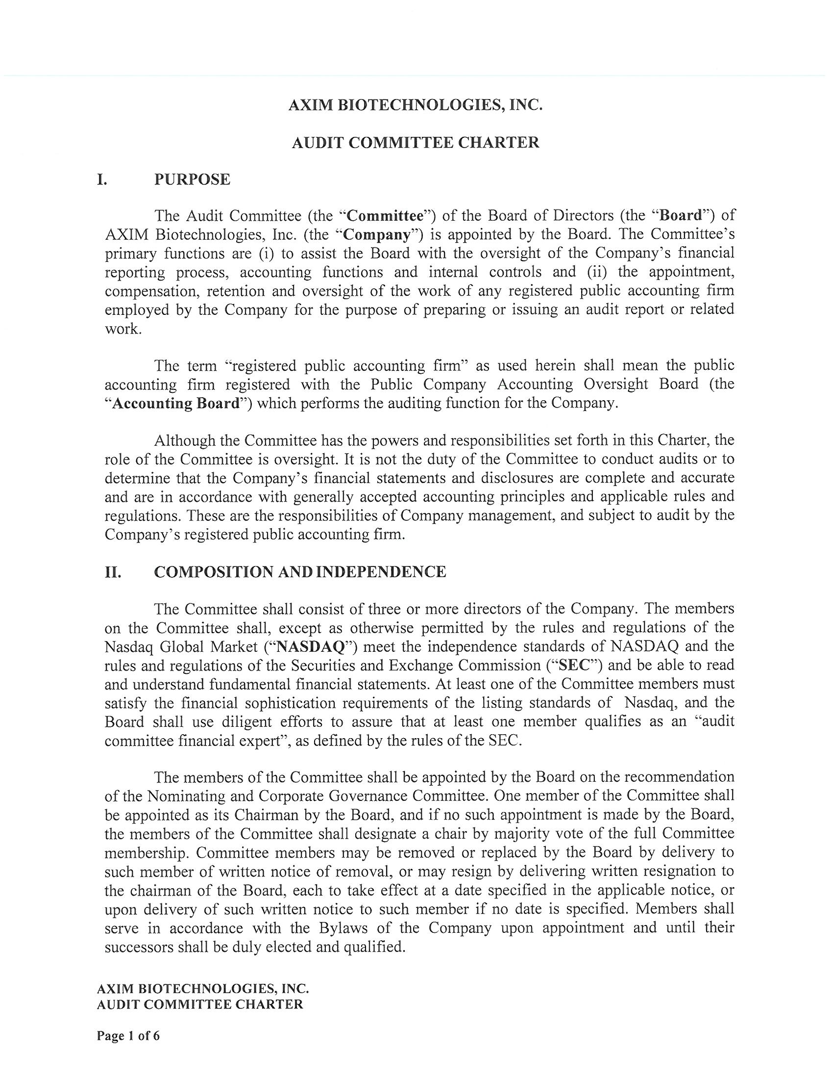 99.3 Audit Committee Charter_Page_1.jpg