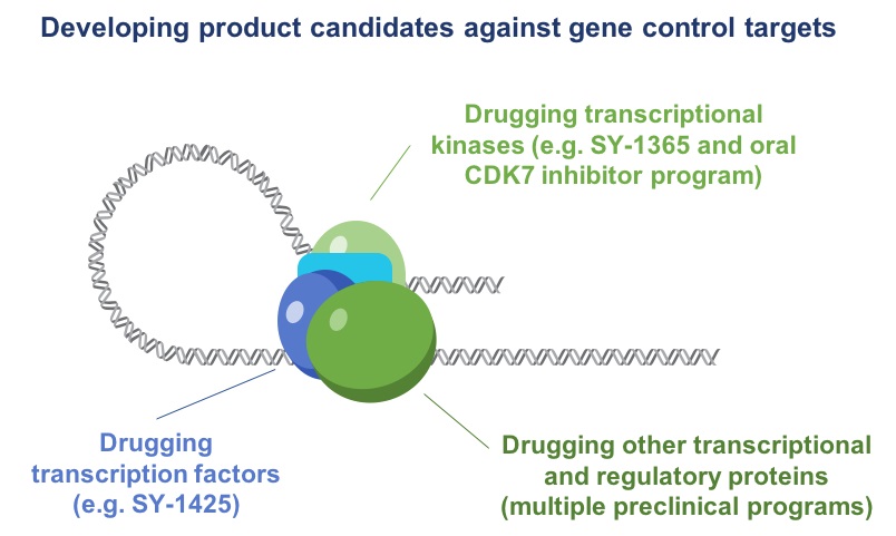 C:\Users\kdefran\Desktop\Syros Pharmaceuticals, Inc_10K_20180306\p10 gene control targets.jpg