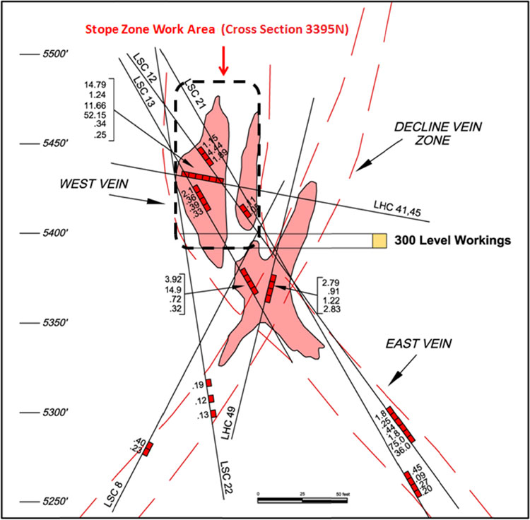(Red Hills Vein Zones Composite Cross Section)
